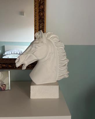 Testa di cavallo gesso