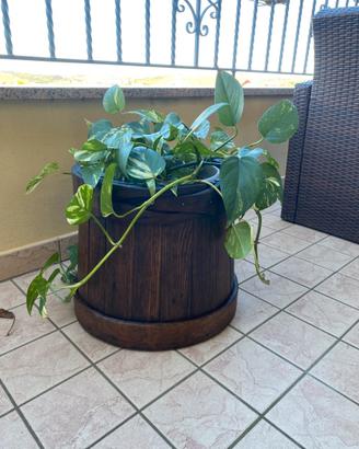 Vaso porta fiori contenitore legno antico staio