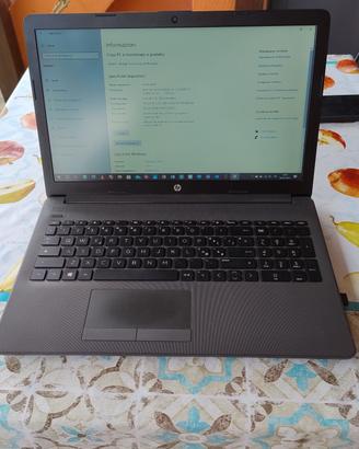 Notebook pc portatile HP 255 G7 8gb Ram 256gb SD