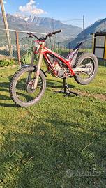 trial 
