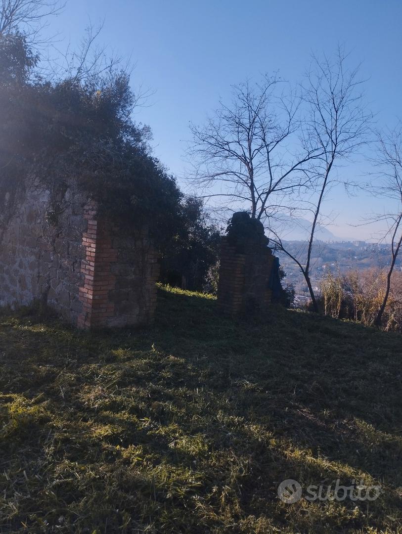 Terreno collinare Torrice (FR) - Vista 2