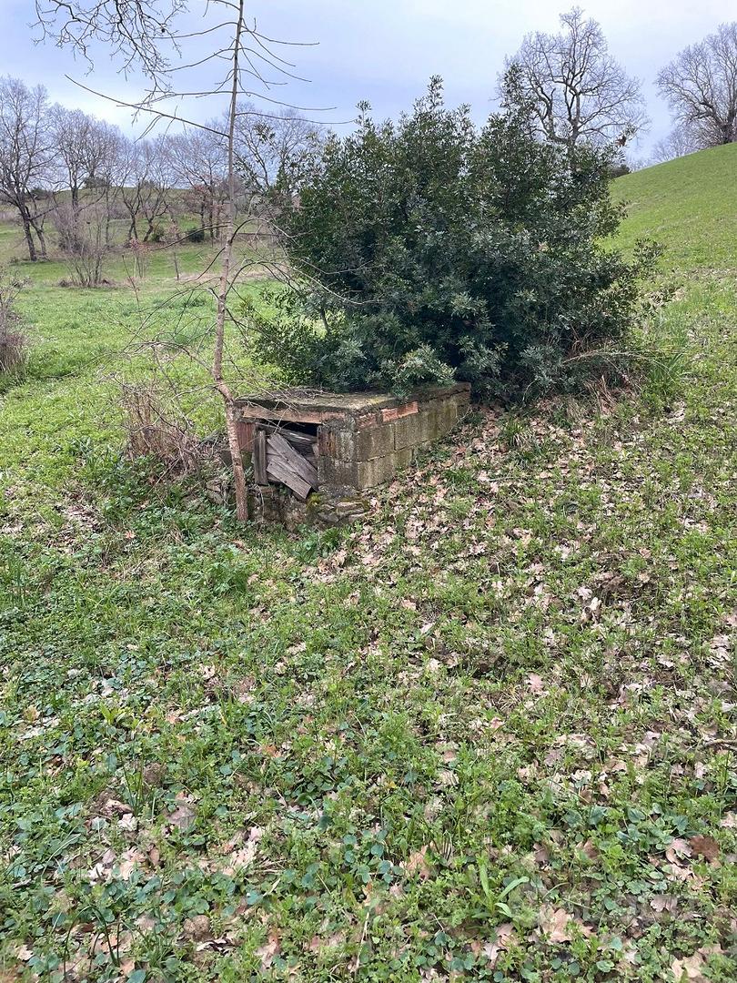 Terreno edificabile con pozzo acqua potabile - Vista 5