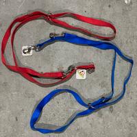 Guinzaglio addestramento