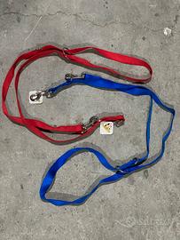 Guinzaglio addestramento