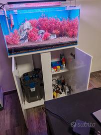 acquario completo di supporto 