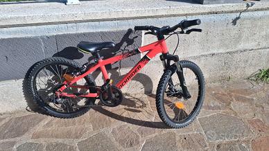 Bicicletta 20 pollici