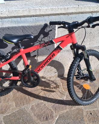Bicicletta 20 pollici