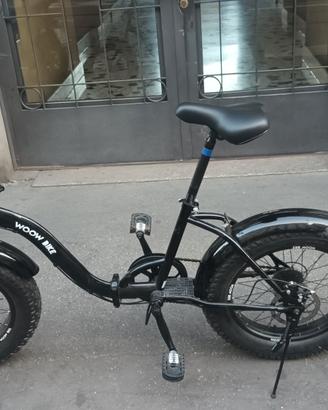 Bici fat pieghevole 