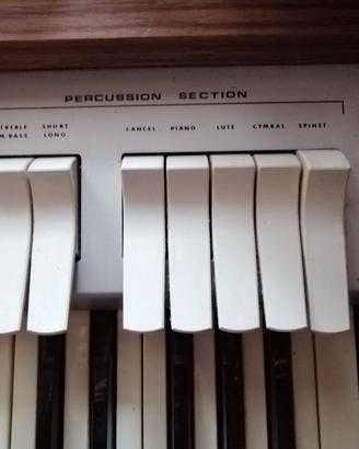 Organo elettronico