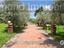 Immagine 18