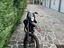 Immagine 5