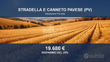 Immobile in asta di 5189 m² a Stradella
