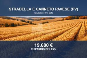 Immobile in asta di 5189 m² a Stradella