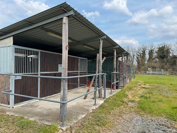 box e paddok per cavalli