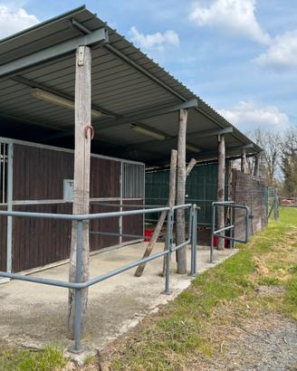 box e paddok per cavalli