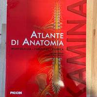 Atlante di Anatomia, Elena Donetti - PICCIN