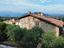 Immagine 8