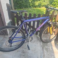 Bici MTB