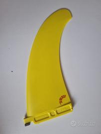 PINNA WINDSURF