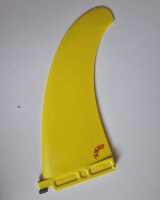 PINNA WINDSURF