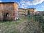 Immagine 7