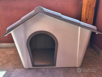 cuccia per cane taglia media
