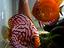 Immagine 2