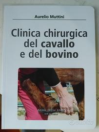 Clinica chirurgica del cavallo e del bovino