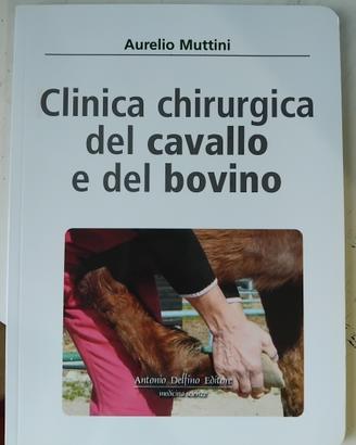 Clinica chirurgica del cavallo e del bovino