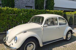 Maggiolino Volkswagen ASI/CRS  1200 del 1967