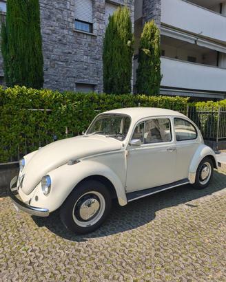 Maggiolino Volkswagen ASI/CRS  1200 del 1967