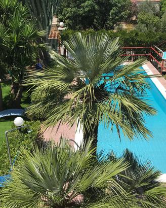 Viletta con piscina per vacanza