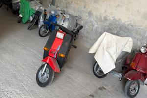 Gilera gsa