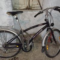 City bike vecchia da ripristinare