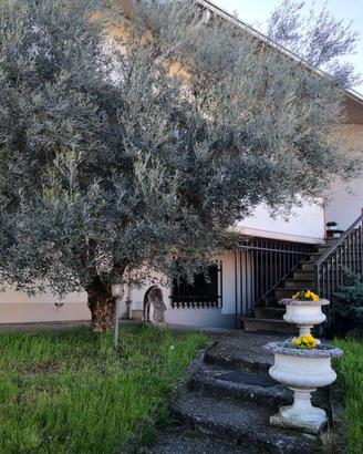 Villa di 390 m² con più di 5 locali e box auto dop