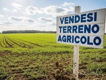 Terreno agricolo