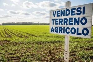 Terreno agricolo