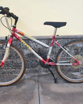 Mountain Bike Silver Star  24