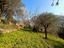 Immagine 10