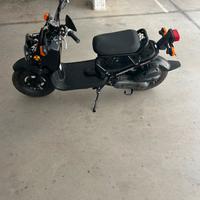 Honda Zoomer Ruckus