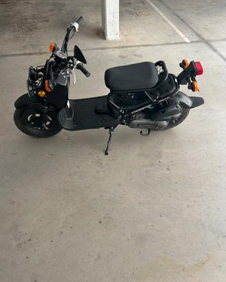 Honda Zoomer Ruckus