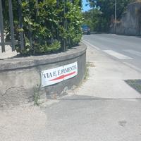 Terreno pianeggiante Quarto