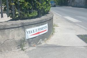 Terreno pianeggiante Quarto