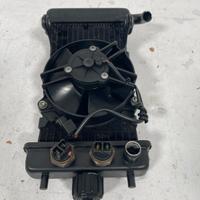 radiatore malaguti password 