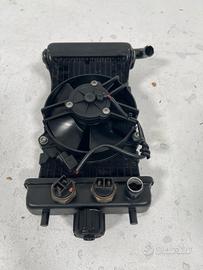 radiatore malaguti password 