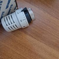 10 teste  valvole termostatiche 