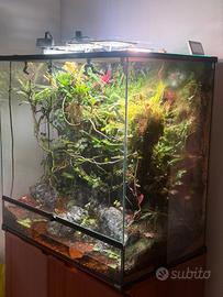 Paludario 80x50x80 giganterra automatico