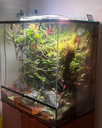 Paludario 80x50x80 giganterra automatico