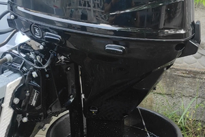 Fuoribordo Suzuki DF 30 anno 2025 (barca)