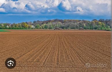 terreno agricolo 